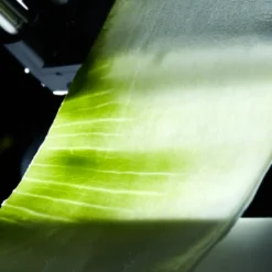 Lurch Germany Gemüsebahnen-Schneider Catto Iron Grey/weiß -Herd Gluck Verkäufe 066ae9b4b97f7b9b868eb876a4fe38d1