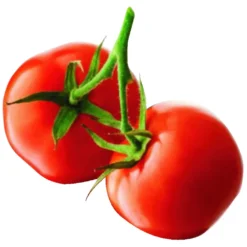 Philips Viva Collection HR1388/80 Küchenmaschinen - Weiß / Schwarz -Herd Gluck Verkäufe fe4f1901473e5411fdb70d7581265cc7